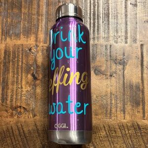 Drink Your Effing Water  Stainless Steel Water Bottle